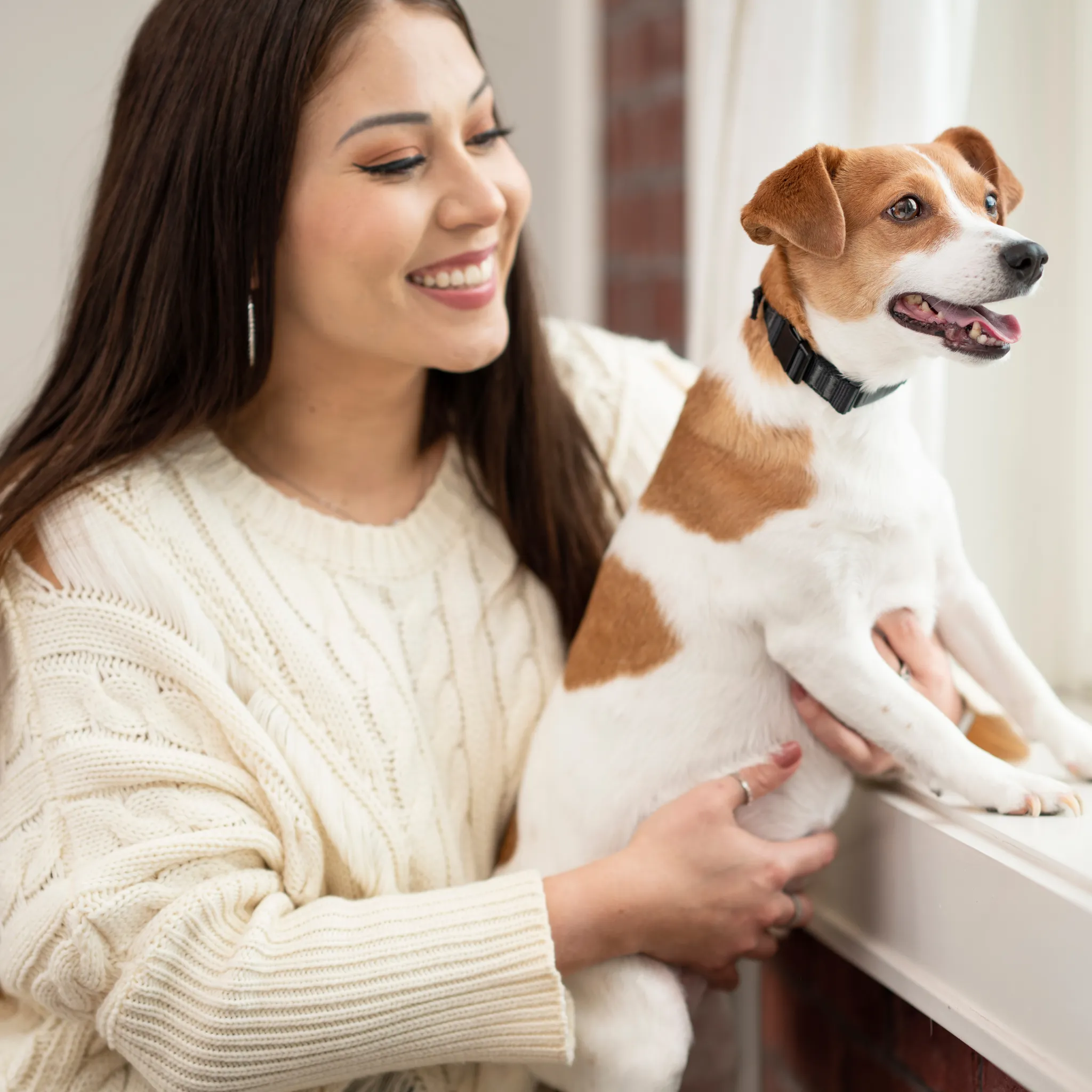 PetSafe NanoBark™ Collar