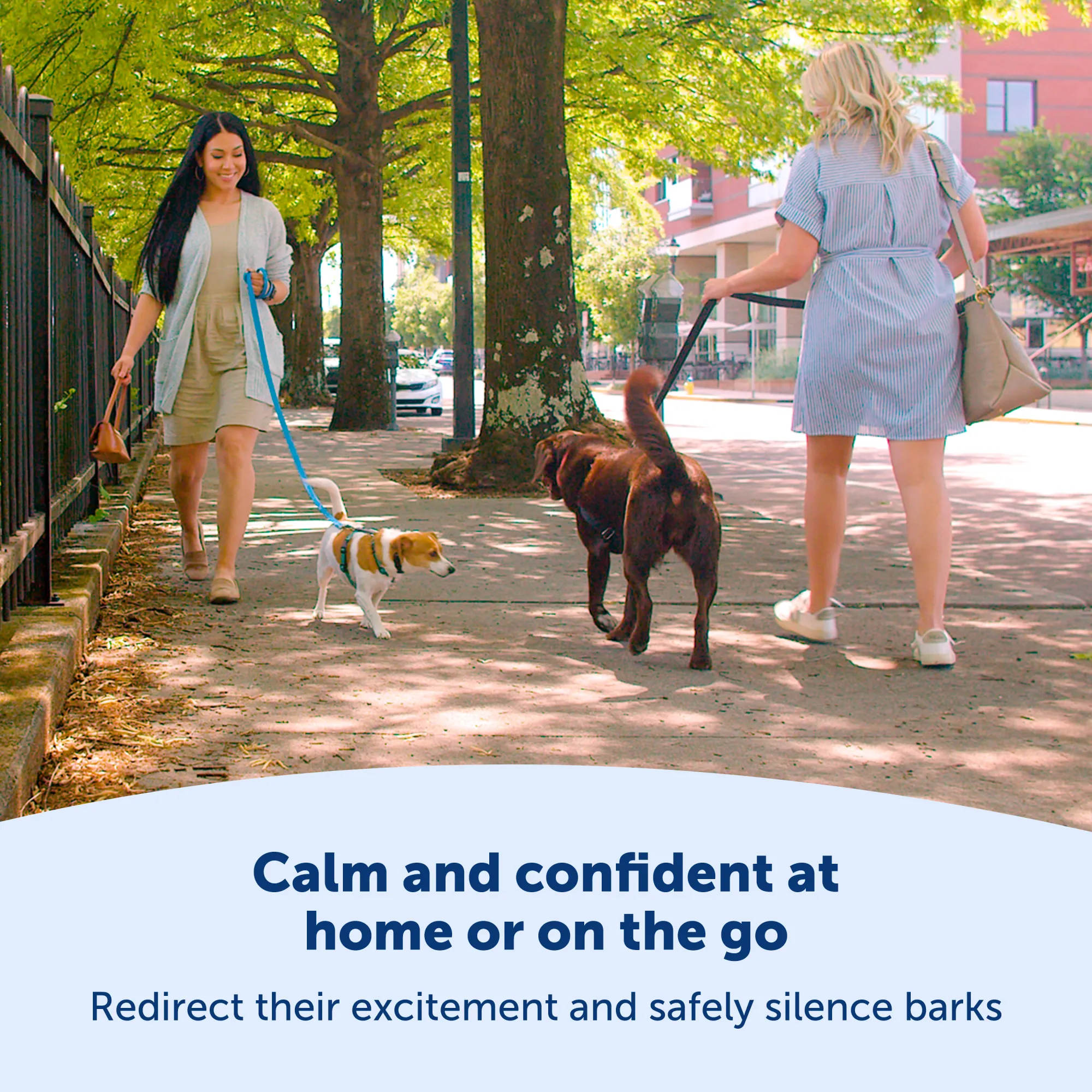 PetSafe NanoBark™ Collar